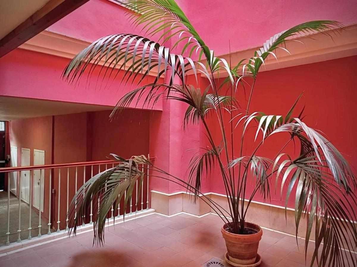 Apartamento Sauceda 7 Sevilla Bagian luar foto